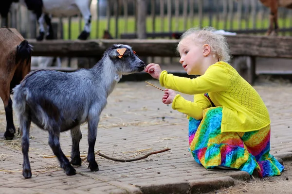 Kindness to animals Stock Photos, Royalty Free Kindness to animals Images | Depositphotos Kindness to animals Stock Photos, Royalty Free Kindness to animals Images | Depositphotos