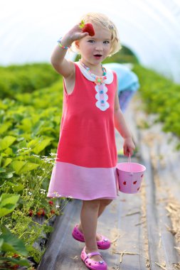 Çocuk malzeme çekme çilek 
