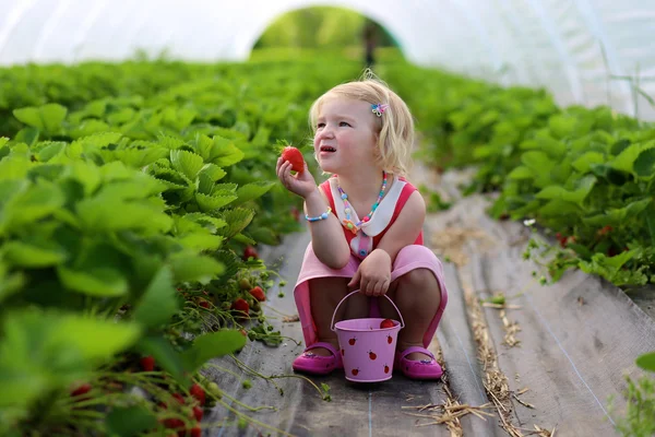 Παιδί picking φράουλες — Φωτογραφία Αρχείου