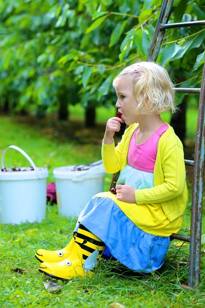 Niño recogiendo cerezas — Foto de Stock