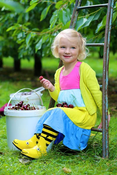 Child picking cherries — Stock Photo, Image