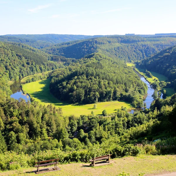 Piękna przyroda w belgijskich Ardenach — Zdjęcie stockowe