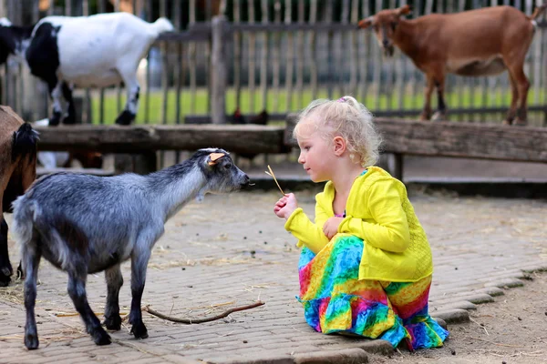 Toddler girl petting little goat — Stock Photo, Image