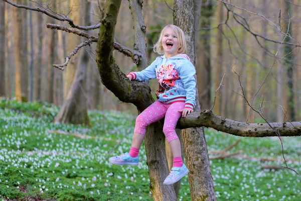 Vacker flicka som leker i skogen — Stockfoto