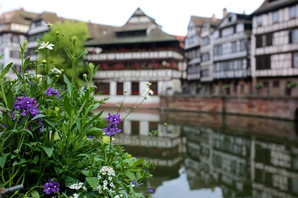 Strasbourg történelmi központjában, a nyári nap — Stock Fotó