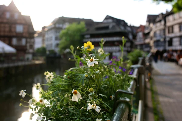 Strasbourg på sommersolskinnsdag stockfoto