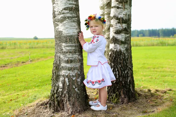 Lille ukrainsk pige i traditionel kjole spiller på markerne - Stock-foto