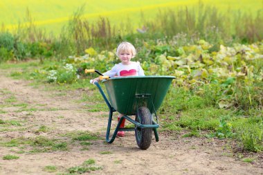 küçük kız sebze grupta çalışma