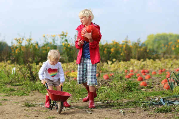 Bror och syster arbetar i grönsaker gård — Stockfoto