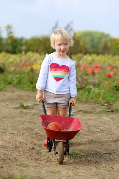 Little girl working in vegetables farm — Stock Photo, Image