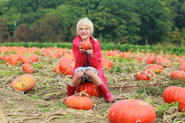 Brother and sister playing at Halloween pumpkin patch — Stock Photo, Image