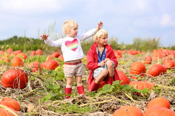 Bror och syster spelar på halloween pumpkin patch — Stockfoto