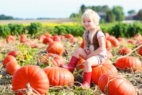 Niña jugando en el parche de calabaza de Halloween —  Fotos de Stock