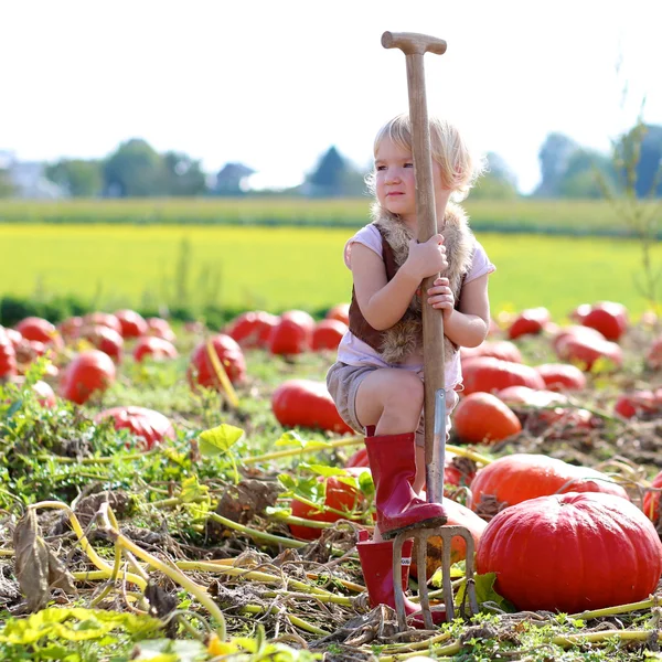 Barn girl spela på pumpkin patch — Stockfoto