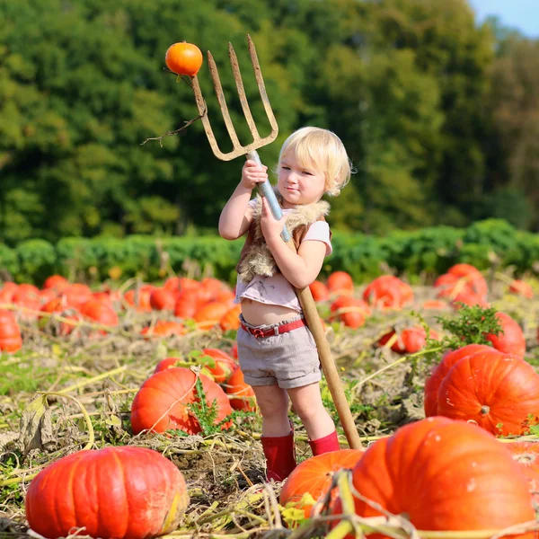 Barn girl spela på pumpkin patch — Stockfoto
