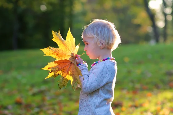 Liten flicka som leker i höst park — Stockfoto