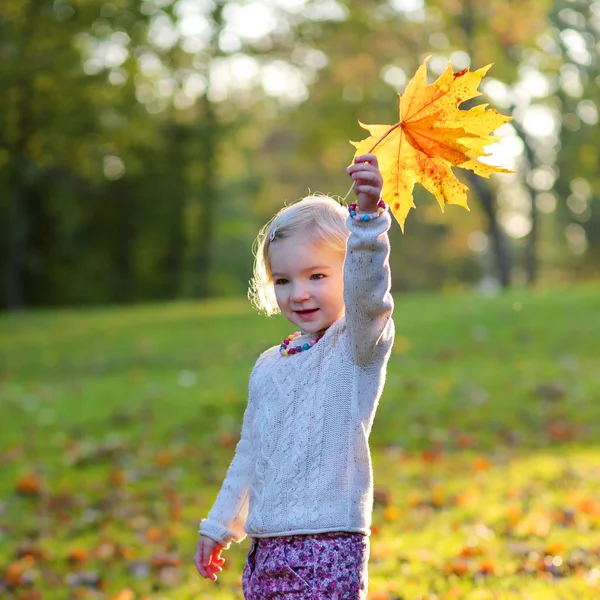 在秋天公园玩耍的小女孩 — 图库照片