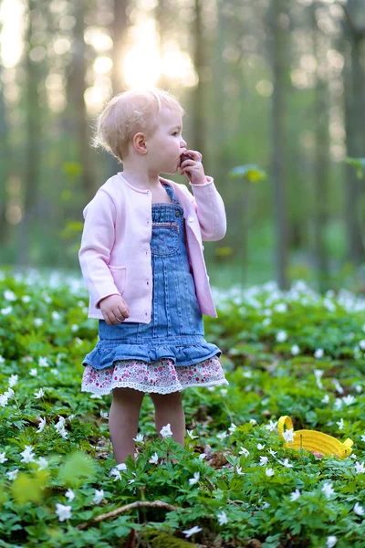 Niña recogiendo huevos de Pascua en el bosque — Foto de Stock