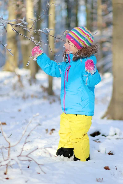 Liten flicka som leker på vintern forest — Stockfoto