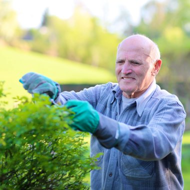 Komuta sizde bahçede çalışan