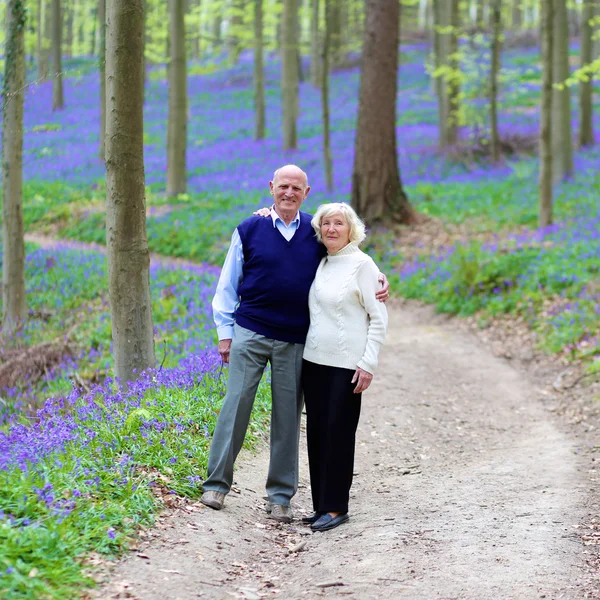 Amante casal sênior andando na bela floresta — Fotografia de Stock