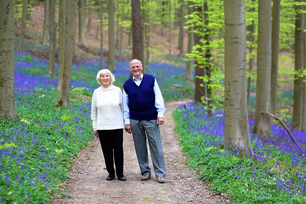 Amando pareja mayor caminando en hermoso bosque — Foto de Stock