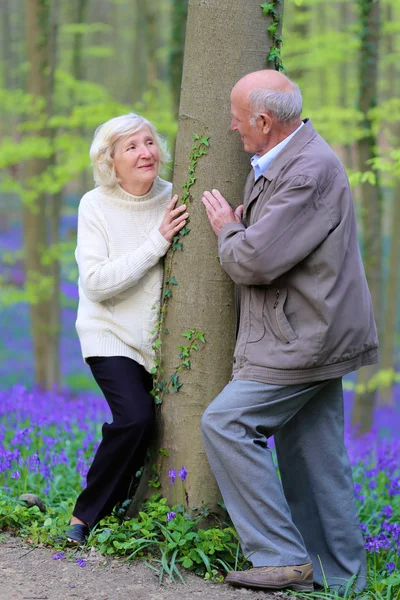 Amante casal sênior andando na bela floresta — Fotografia de Stock