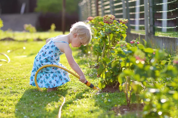 かわいい女の子は庭の花に水をまく — ストック写真