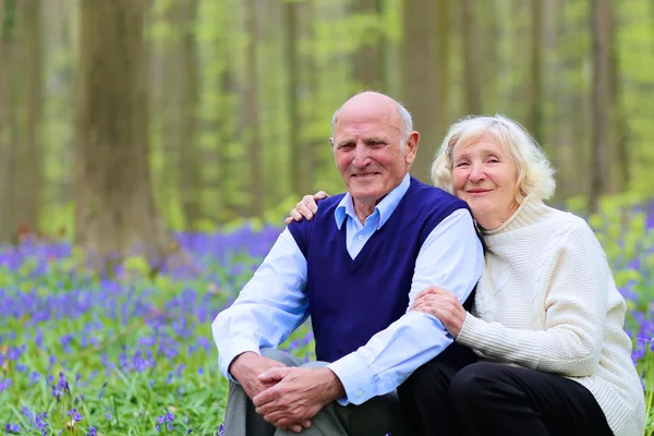 Happy seniors hiking in the forest — Stock Photo, Image