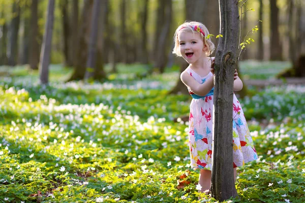 Schattig meisje genieten van lente bloeiende bos — Stockfoto