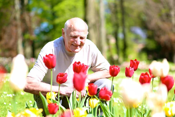 Happy senior man enjoying flowers park — Stock Photo, Image