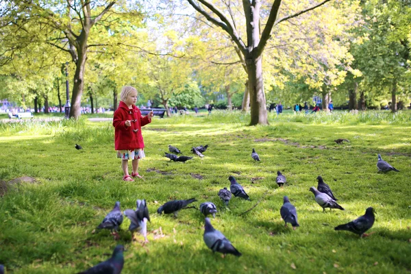 Liten flicka mata fåglarna i parken — Stockfoto