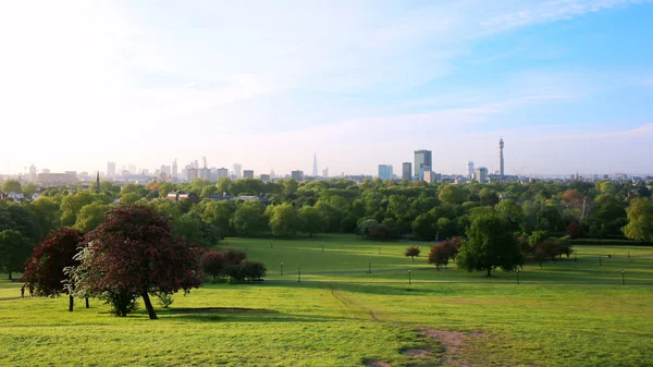 Лондонский городской пейзаж из парка Primrose Hills — стоковое фото