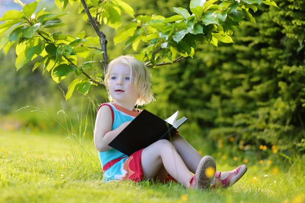 Inteligente niña en edad preescolar lectura libro en el parque — Foto de Stock