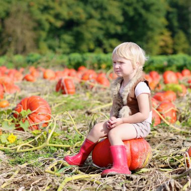 Funny little kid at the pumpkin field