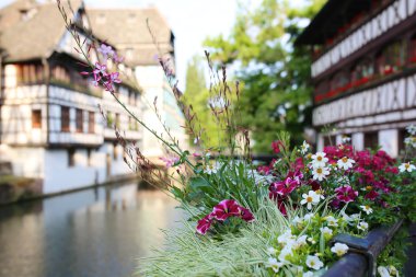 Yaz aylarında güzel Strasbourg