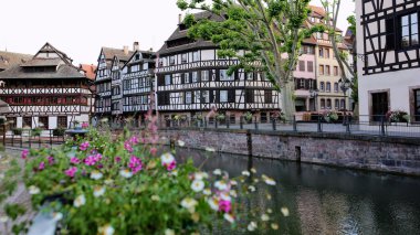 Yaz aylarında güzel Strasbourg