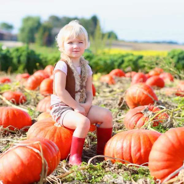 Funny little kid at the pumpkin field — Stockfoto