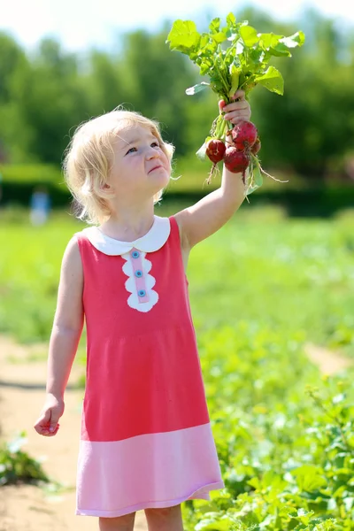 Маленька дитина в овочевій фермі — стокове фото