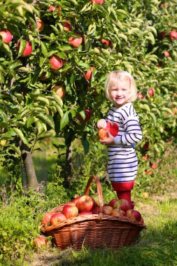 Mutlu çocuk elma hasat
