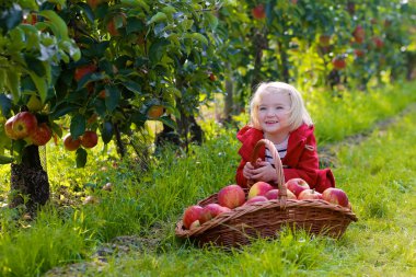 Mutlu çocuk elma hasat