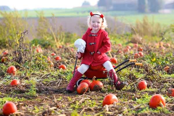 Little girl collecting pumpkins for Halloween in the field — Stock Photo, Image