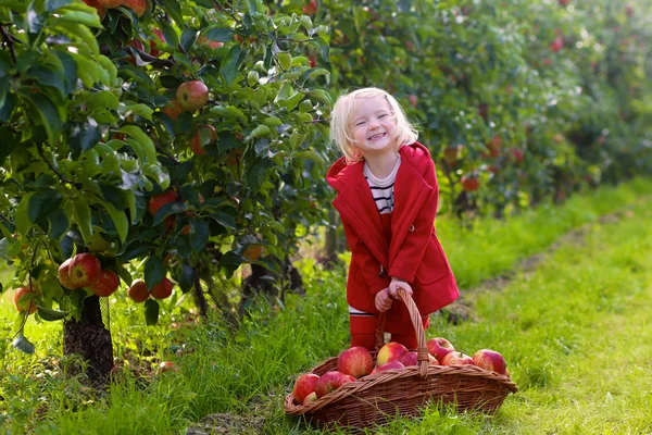 Ευτυχισμένο παιδί συγκομιδής μήλα — Φωτογραφία Αρχείου
