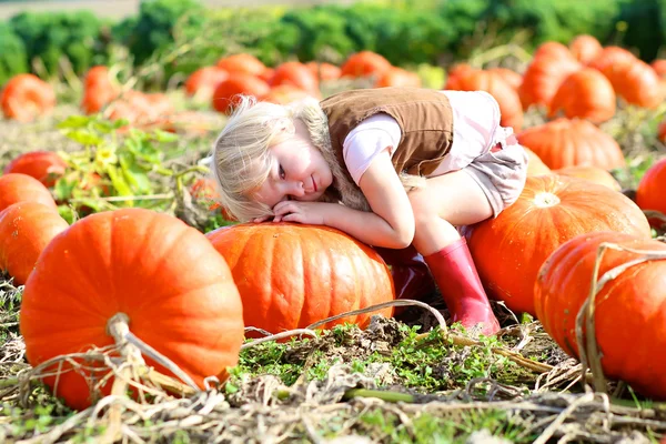 Little girl collecting pumpkins for Halloween in the field — Stock Photo, Image