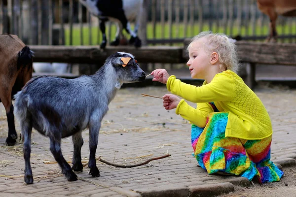 Fata petting capra mica — Fotografie, imagine de stoc