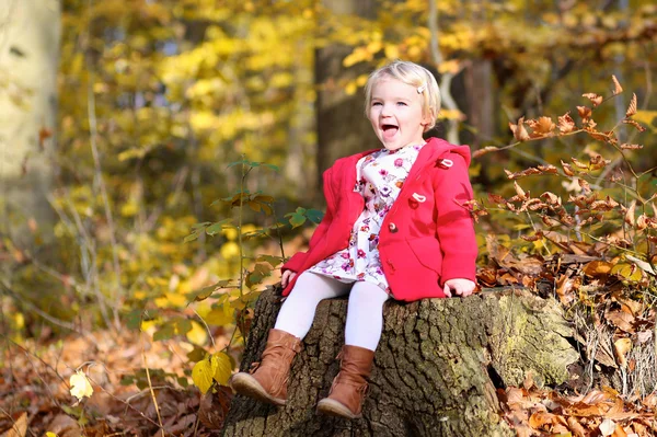 Lycklig liten flicka spela i höst skog — Stockfoto