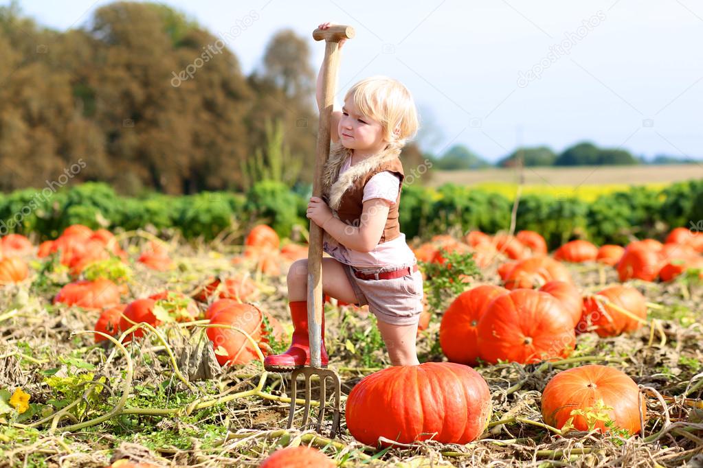 Little girl collecting pumpkins for Halloween in the field