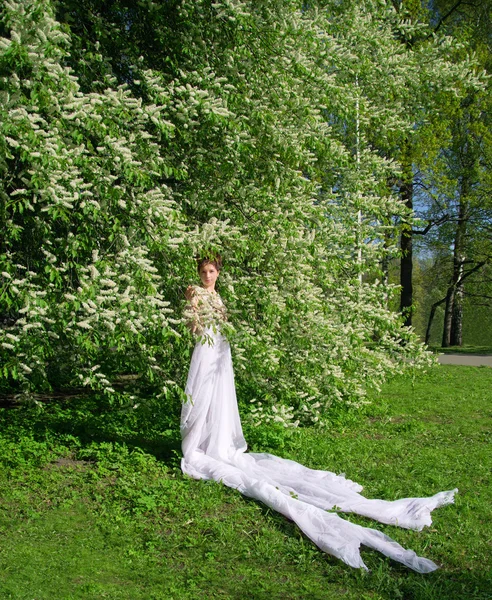 Mujer en la flor Bush —  Fotos de Stock