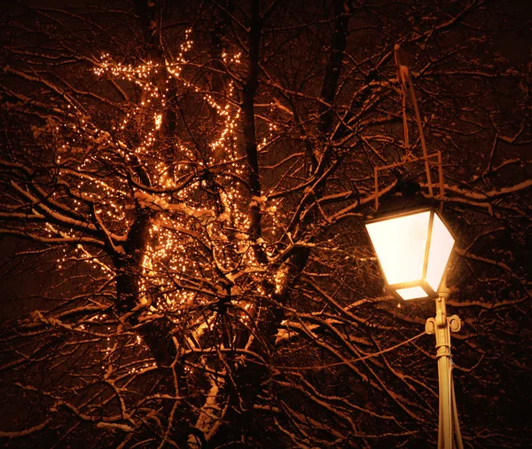Christmas illuminations in park — Stock Photo, Image