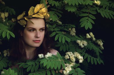 çalılıkları perisi